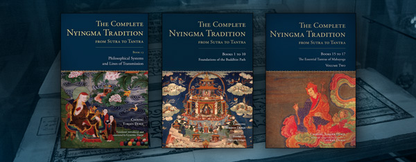 Featured-Translation-Projects-DGZ-Home-page