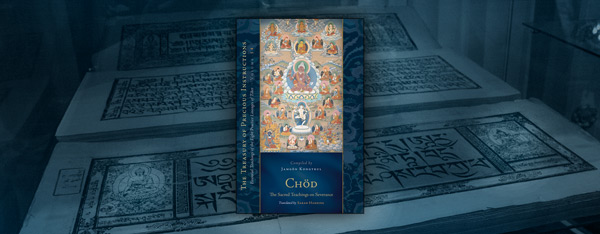 Featured-Translation-Projects-DNZ-Home-page