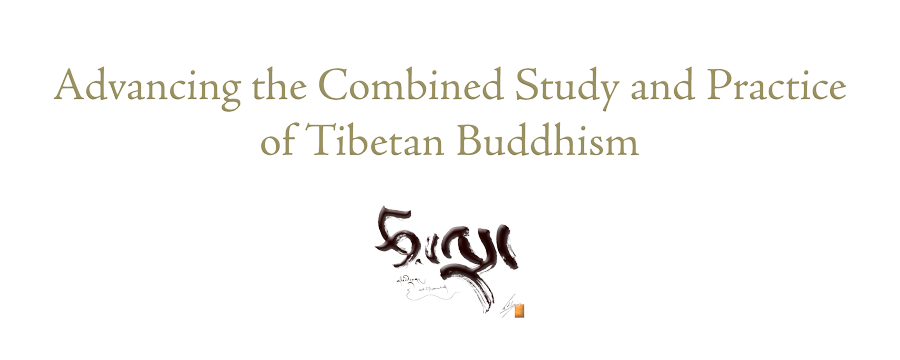 Tsadra-Logo-Home-Page-after-Top-Banner-900-width